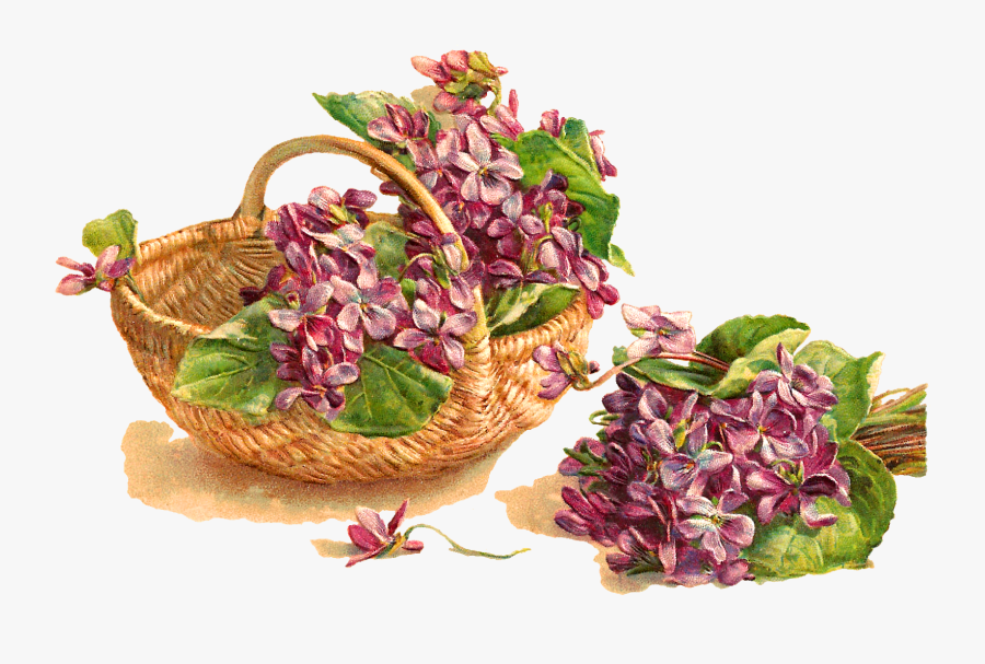 Flower Violet Basket Download Image - Carte De Voeux Anciennes, Transparent Clipart