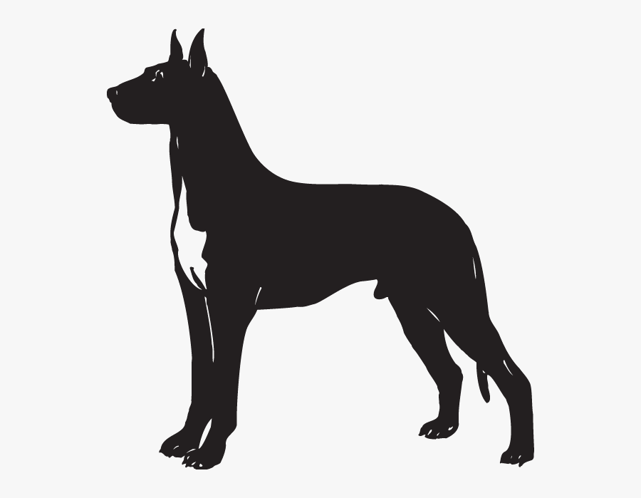 Great Dane German Pinscher Giant Schnauzer Clip Art - Great Dane Dog Silhouette, Transparent Clipart
