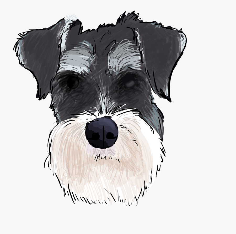 Miniature Schnauzer Standard Schnauzer Schnoodle Lakeland - Schnauzer Png, Transparent Clipart