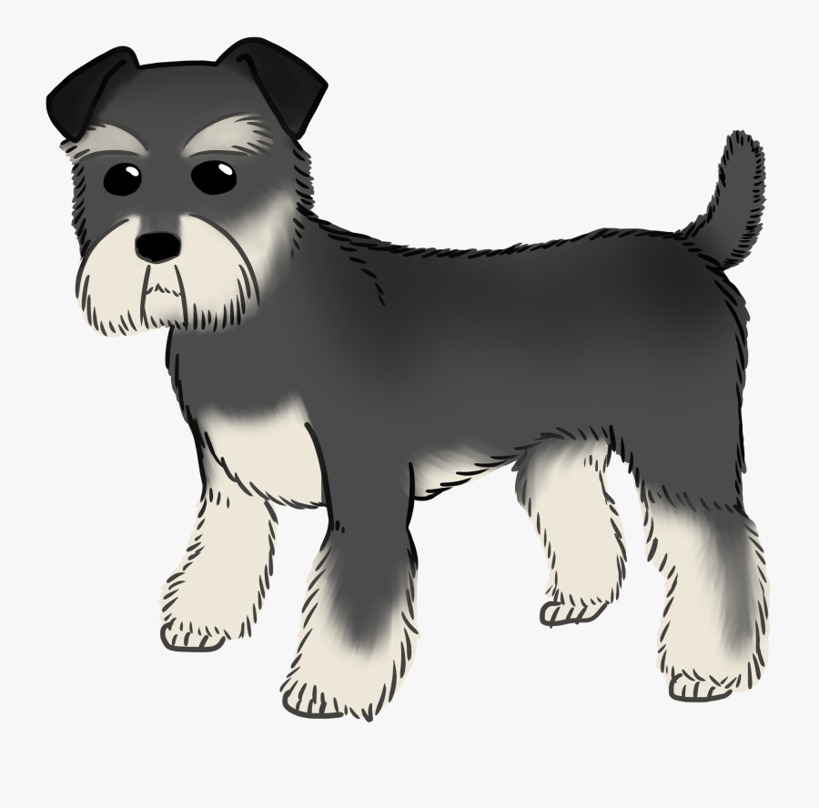 Miniature Schnauzer Puppy Dog Breed Companion Dog - Miniature Schnauzer ...