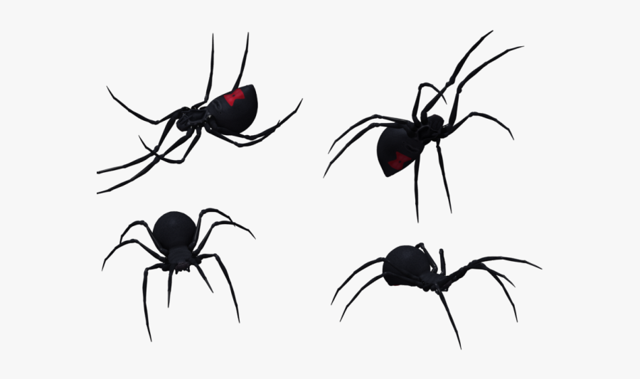 Spider Clipart Black Widow Spider - Black Widow Spider Png, Transparent Clipart