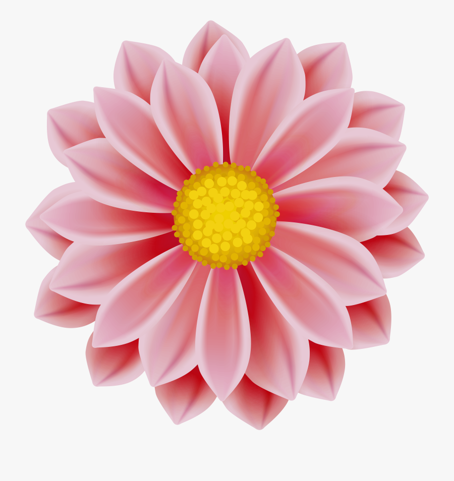 Dahlia Flower Clipart - Dahlias Flower Clipart , Free Transparent ...