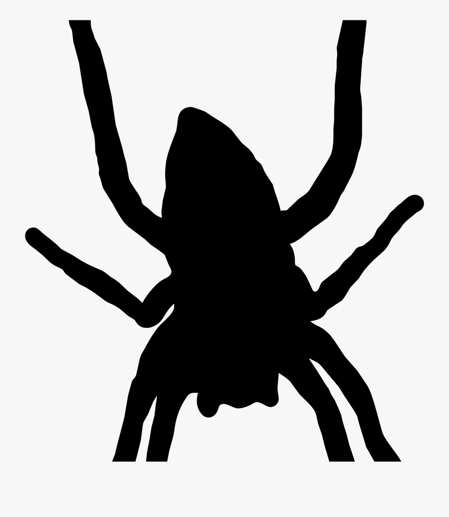 Spider Web Silhouette Southern Black Widow Arthropod - Transparent Spider Png Cartoon, Transparent Clipart