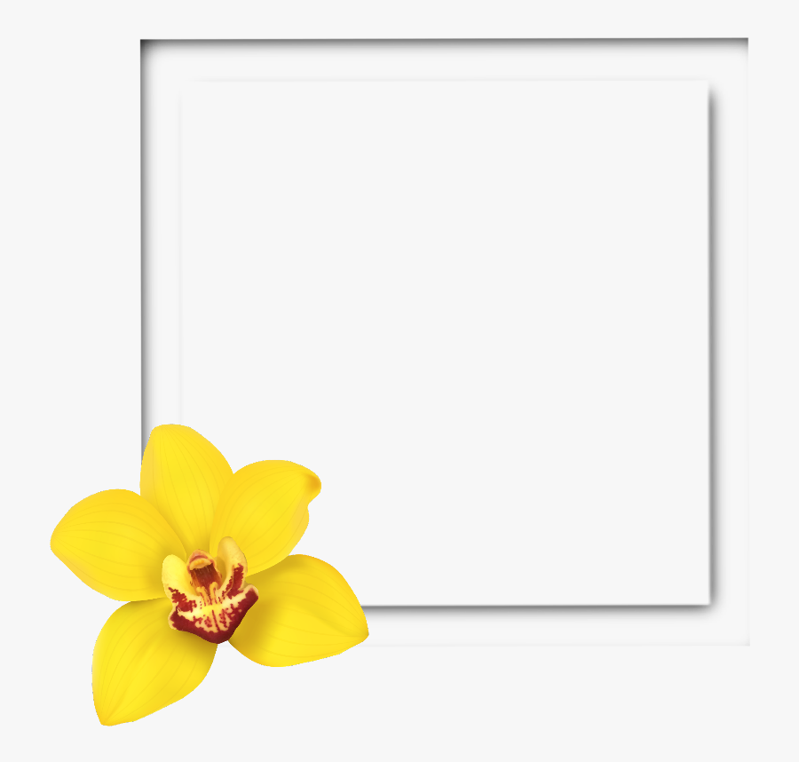 #square #frame #3d #yellow #flower #frames #border - Frame Yellow Flower Border, Transparent Clipart