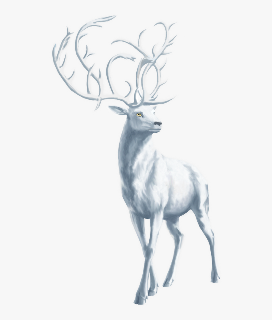 Stag Transparent Background, Transparent Clipart