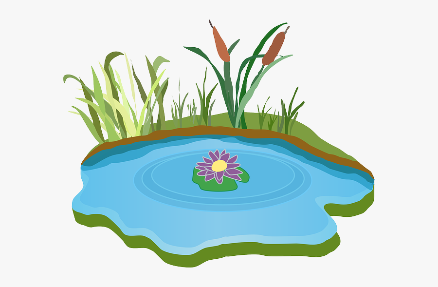 Free Image On Pixabay - Pond Clipart, Transparent Clipart
