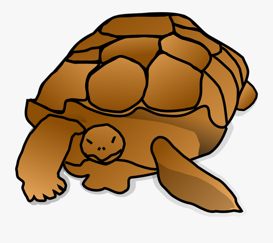 Tortoise,turtle,pond Turtle,clip Art,loggerhead Sea - Snapping Turtle Clipart Png, Transparent Clipart
