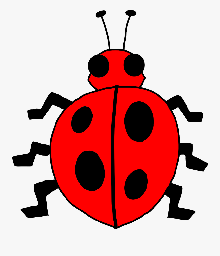 Ladybug Lady Bug Clip Art - Clipart Image Of Bug, Transparent Clipart