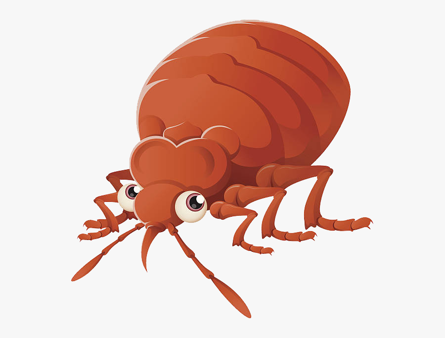 Download Free Png Bed - Transparent Bed Bugs Cartoon, Transparent Clipart