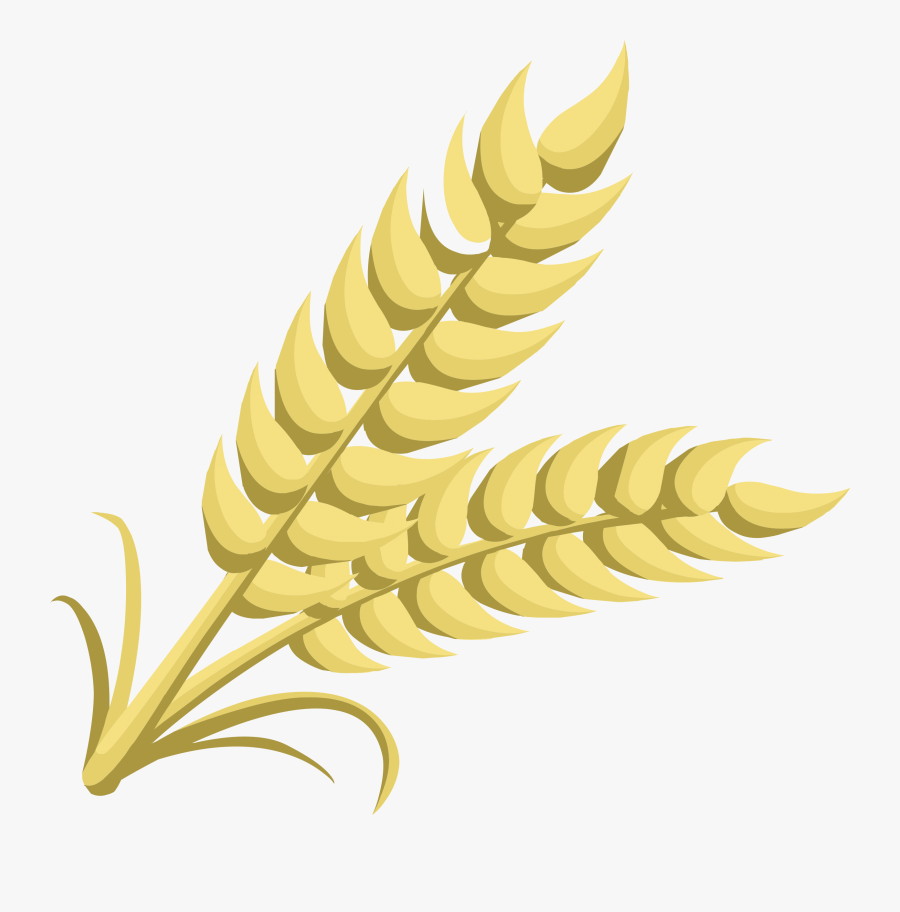 Wheat Clip Art - Grain Clipart , Free Transparent Clipart - ClipartKey