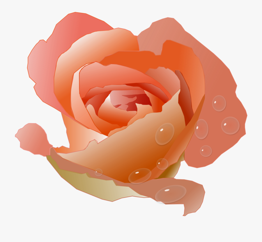 Modern Floral Clipart - Coral Rose Clip Art, Transparent Clipart