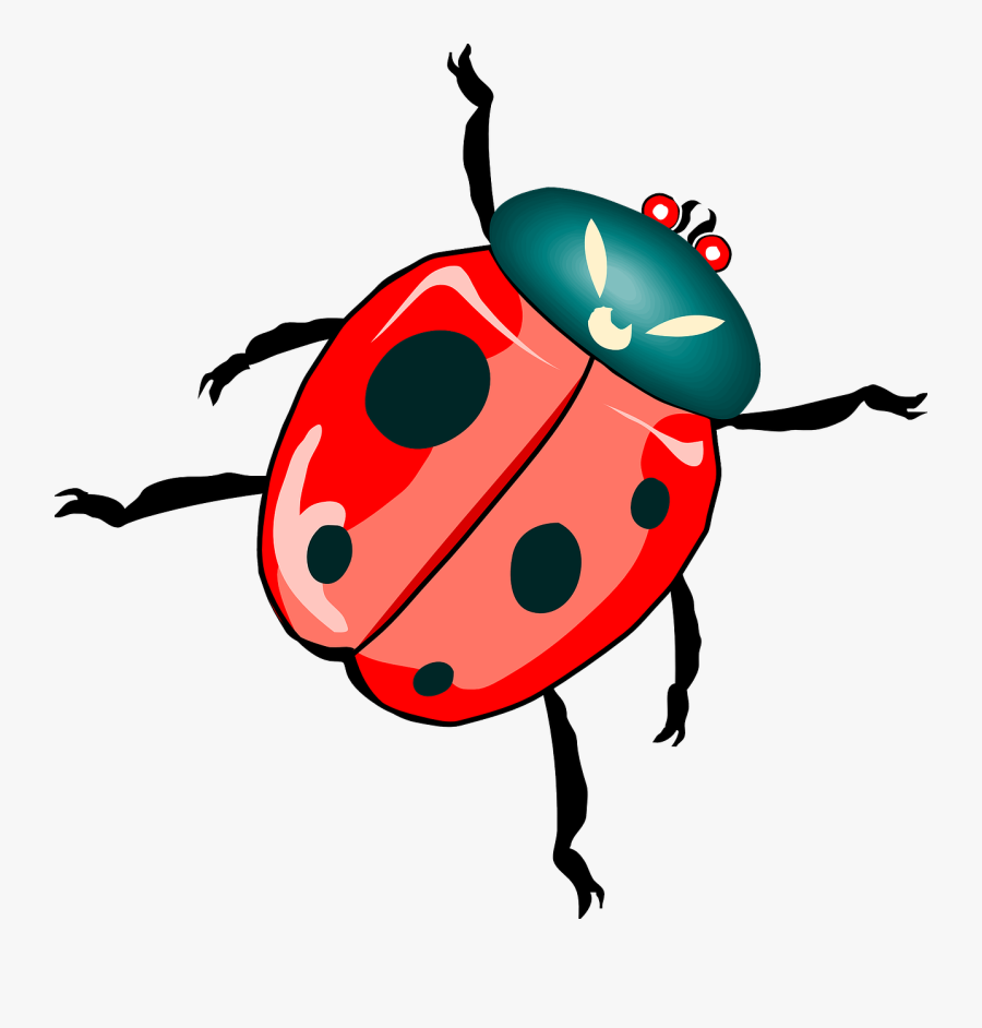 Lady Bug Svg Clip Arts - Clip Art Bug, Transparent Clipart