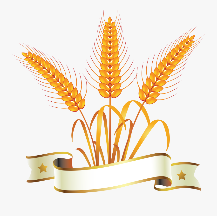 Wheat Png - Transparent Wheat Logo Png, Transparent Clipart