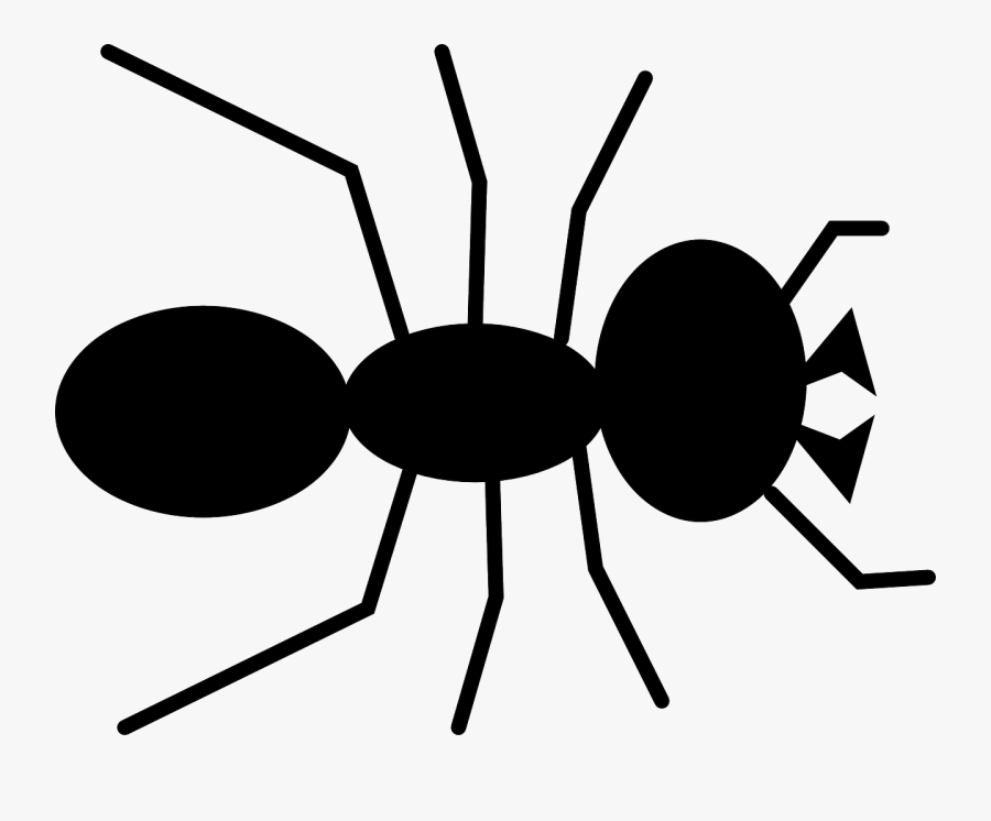 Transparent Bugs Clipart Black And White - Ant Clipart , Free ...