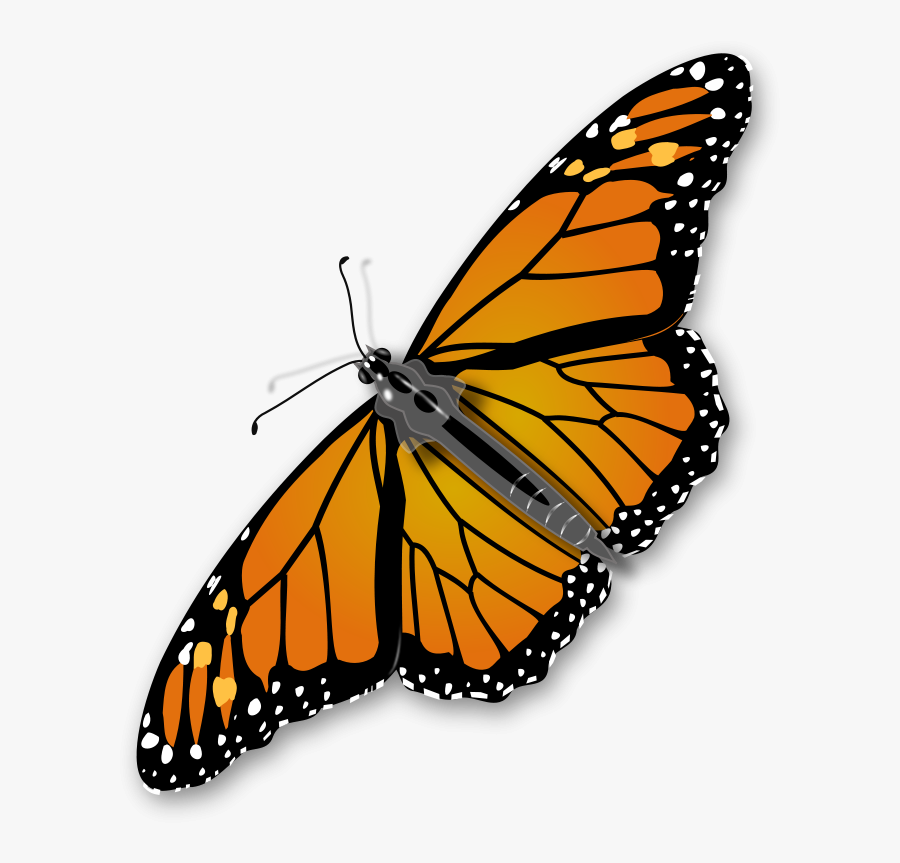 Domain Insects Clip Art Clipart Panda - Transparent Background Butterfly Gif, Transparent Clipart