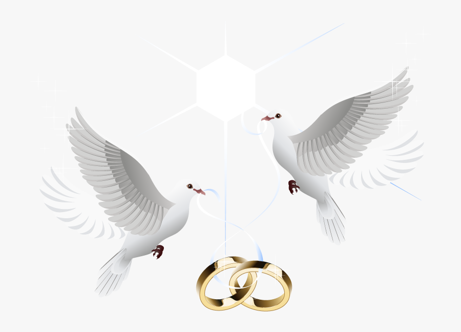 Ring Vector Marriage Wedding Download Hd Png Clipart - Dove For Wedding Png, Transparent Clipart