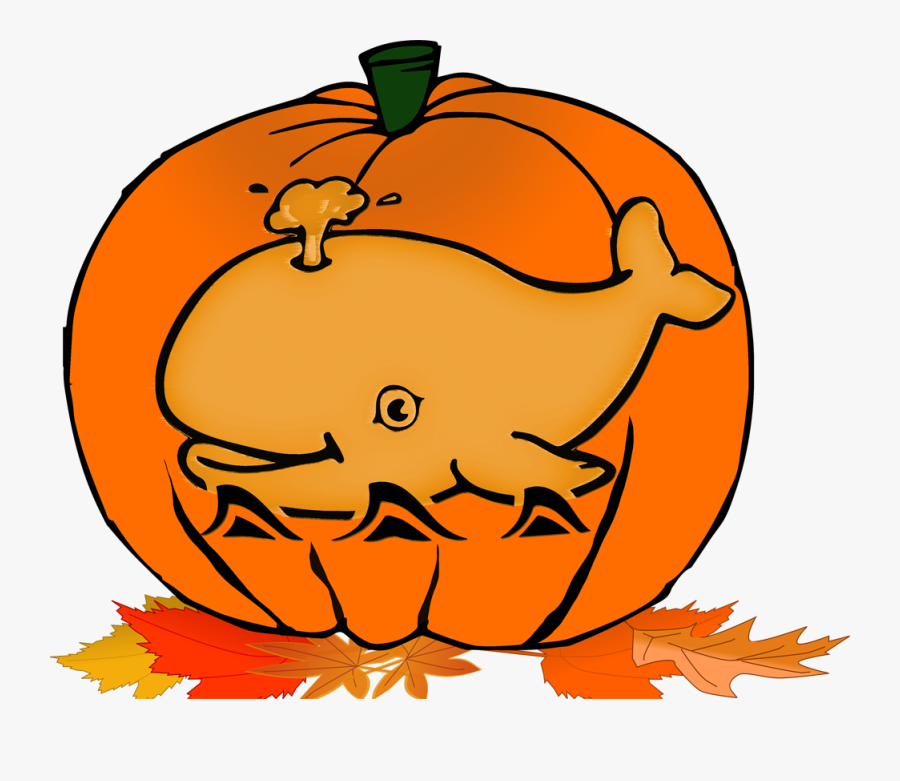 Transparent Fall Festival Clipart - Whale Cartoon To Color, Transparent Clipart