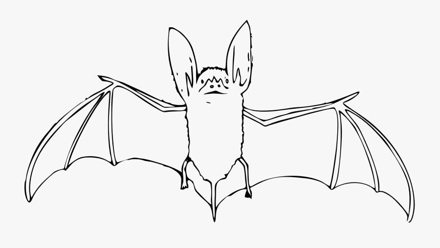 Net � Clip Art � Bat Black White Art Elish Halloween - Black And White Bat, Transparent Clipart