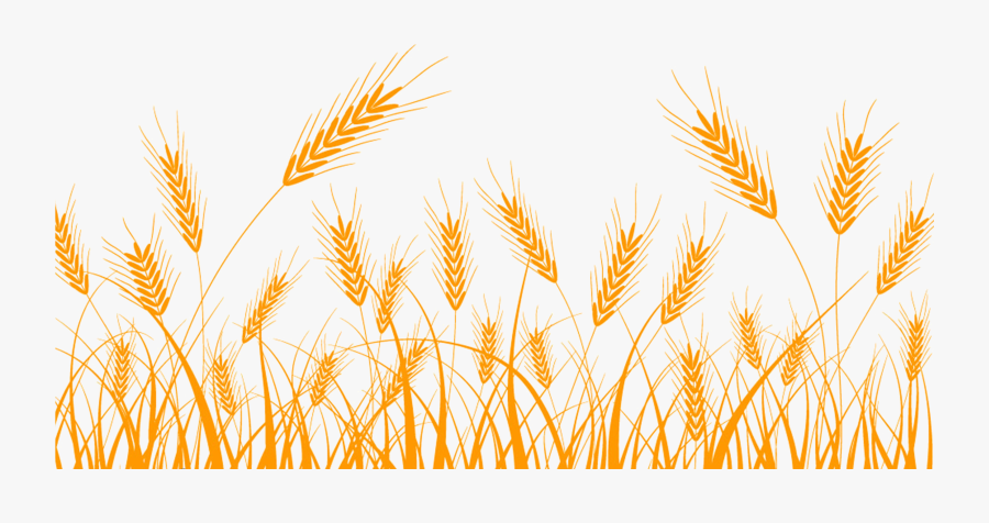Wheat Silhouette Clip Art - Wheat Field Silhouette Png, Transparent Clipart