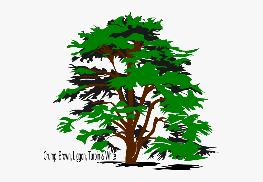 Transparent Family Reunion Png - Free Tree Clipart Black And White Png, Transparent Clipart