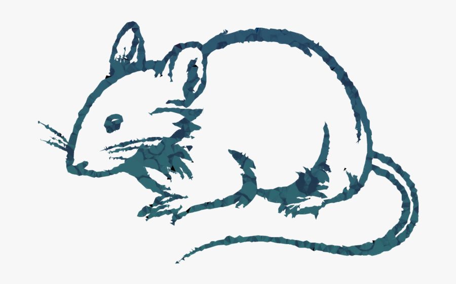 Rat, Drawing, Illustration, Transparent Png Image Clipart - Rat Image Black And White, Transparent Clipart