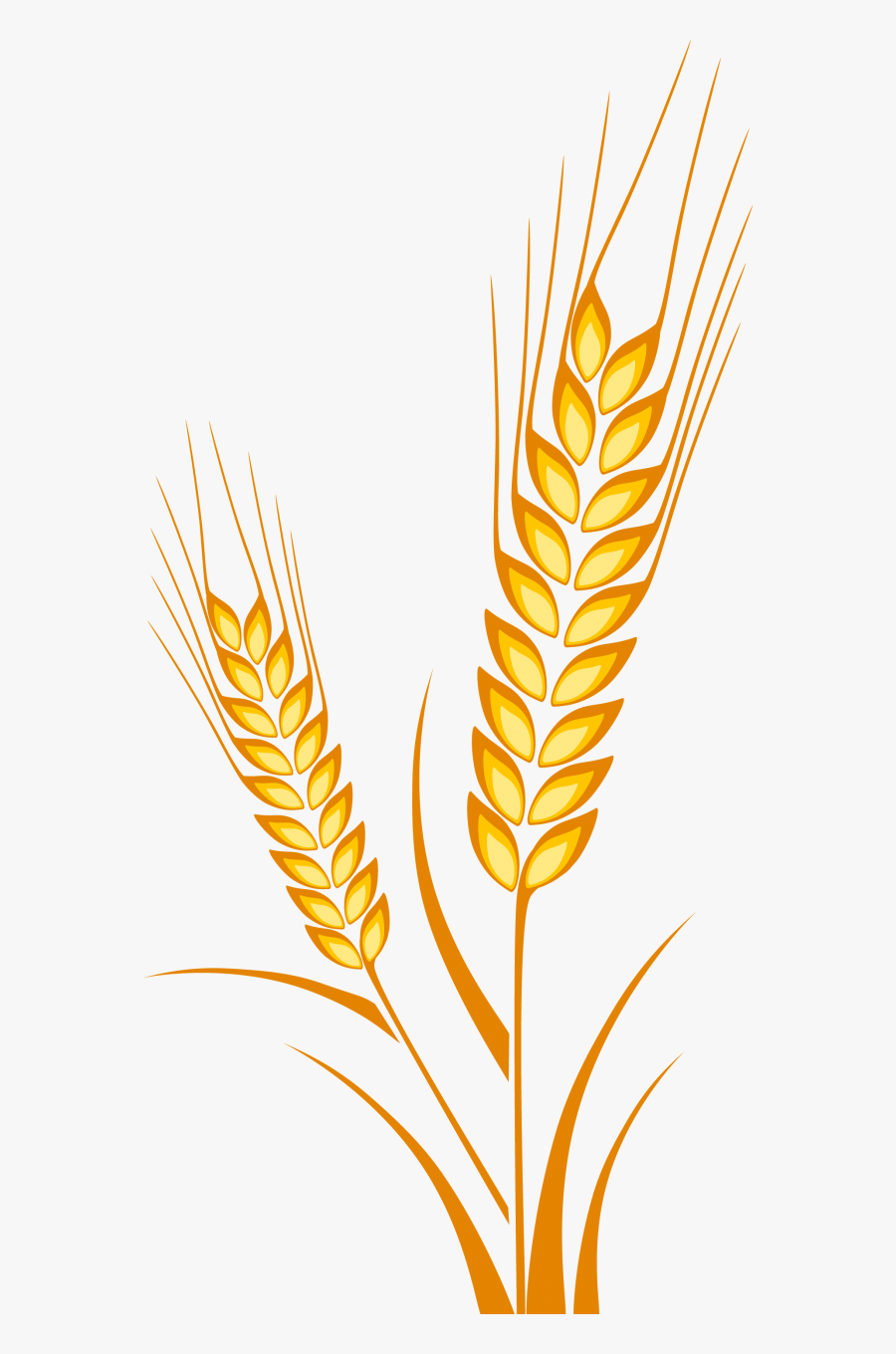 Clip Art Transparent Library Barley Drawing Cereal - Wheat Plant Drawing, Transparent Clipart