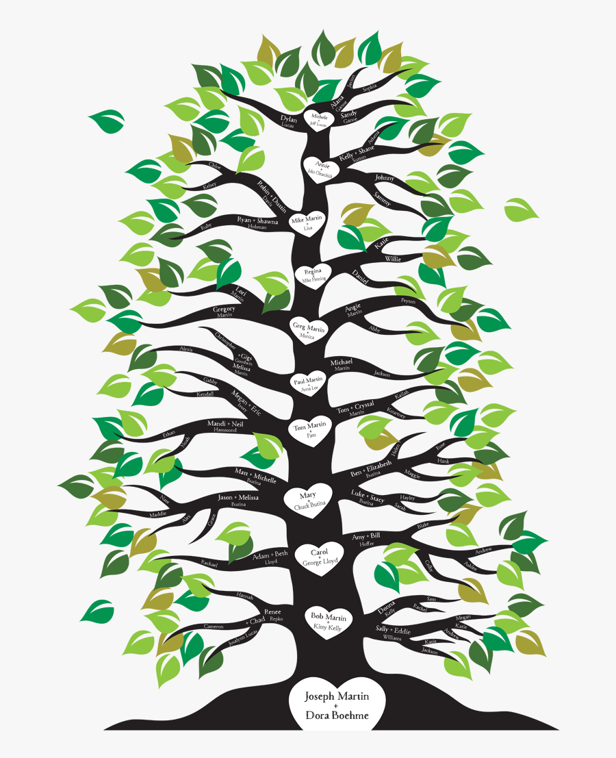 Image Result For Family Tree With Roots And Branches - Family Tree With Branches, Transparent Clipart