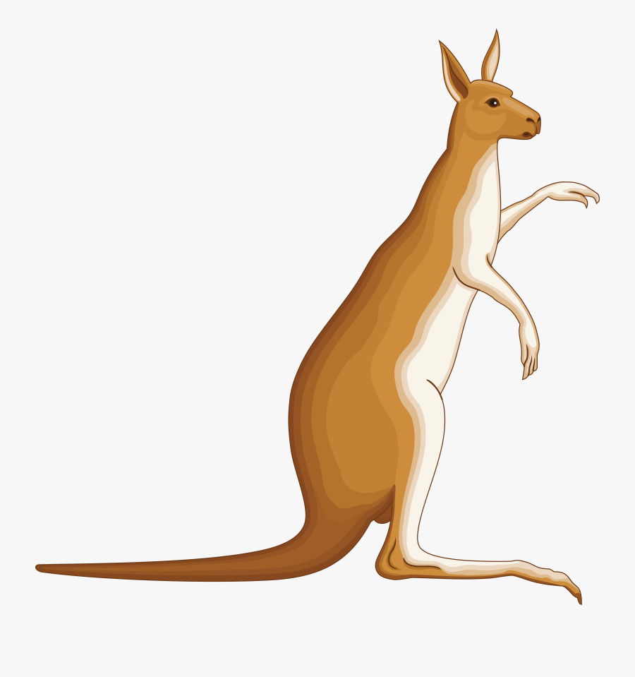 Bclipart Kangaroobclipart Animals - Kangaroo Coat Of Arms, Transparent Clipart
