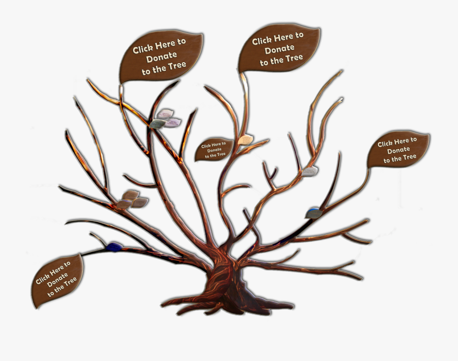 Transparent Family Tree Clip Art - John Muir Family Tree, Transparent Clipart