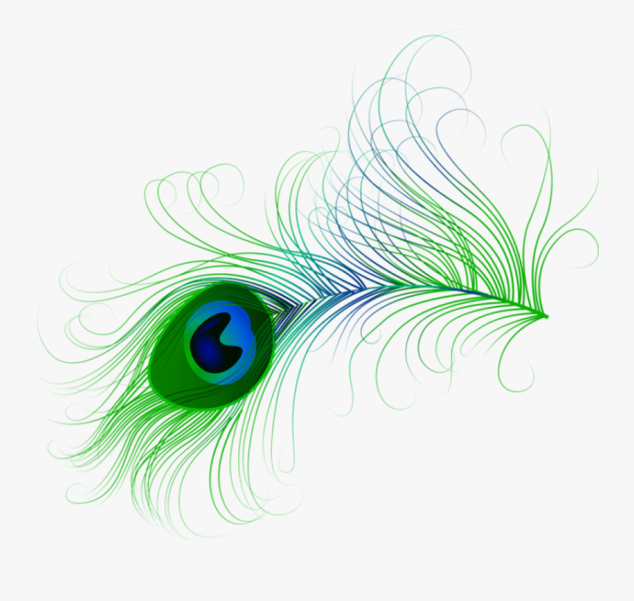 Feather,graphic Design,graphics,clip Art,fashion Accessory,logo,natural - Transparent Peacock Feather Png, Transparent Clipart
