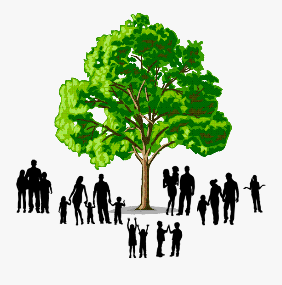 Family Tree Png - Transparent Family Reunion Tree, Transparent Clipart