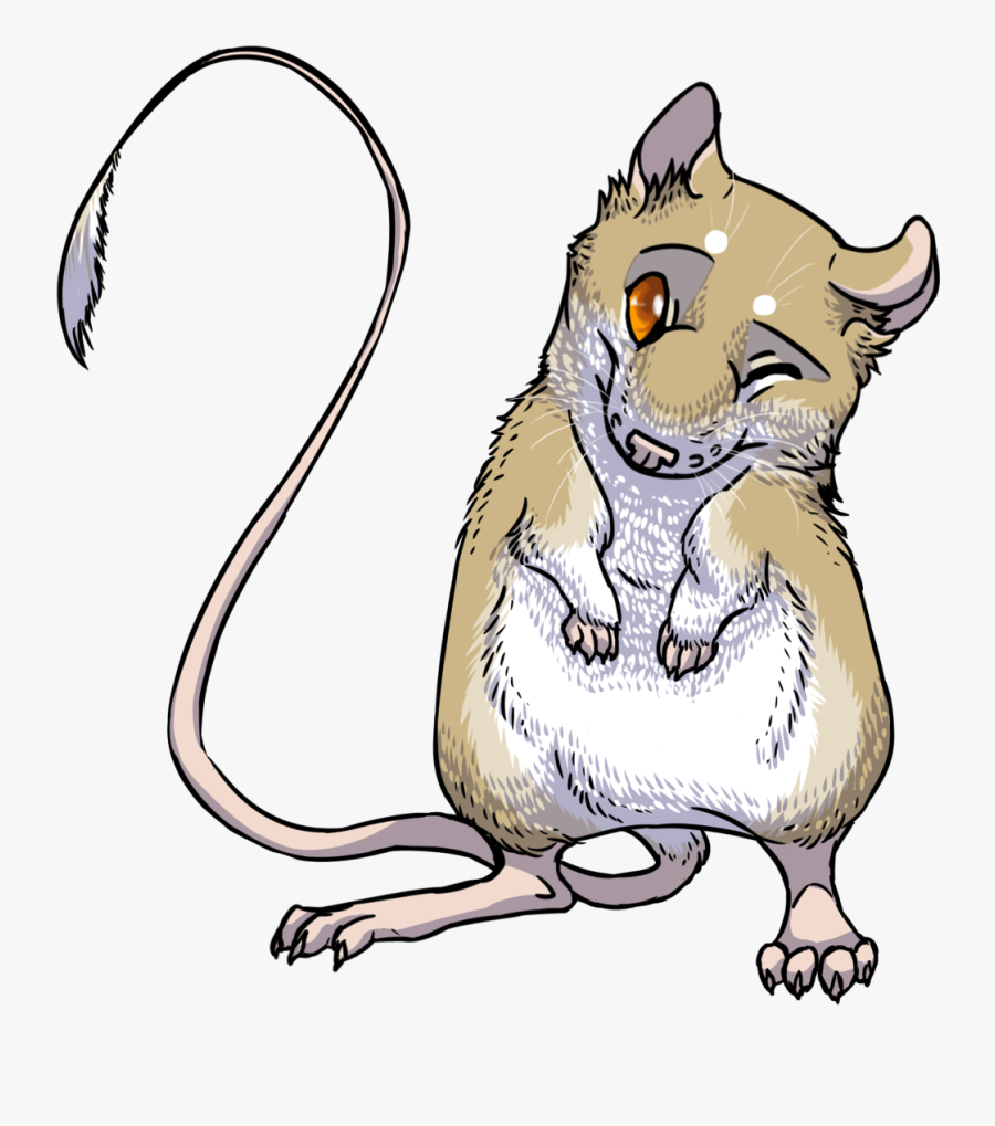 Rat Mouse Clipart - Giant Kangaroo Rat Transparent, Transparent Clipart