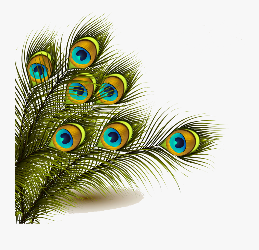 Peafowl Feather Clip Art - Mor Pankh Images Png, Transparent Clipart