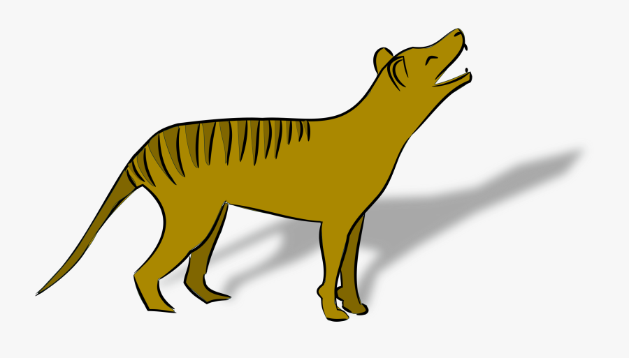 4 Australian Animal Clipart, Transparent Clipart