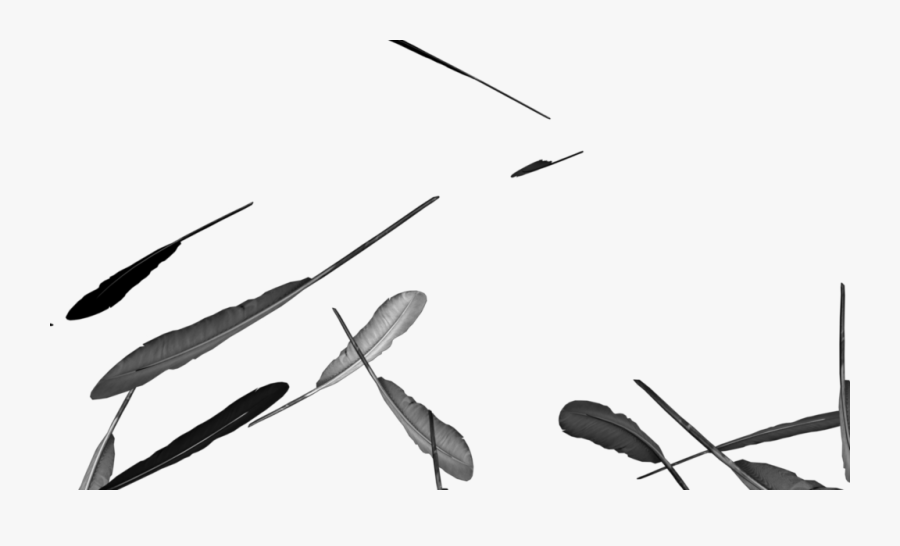 Collection Of Free Feather Drawing Falling Download - Illustration, Transparent Clipart