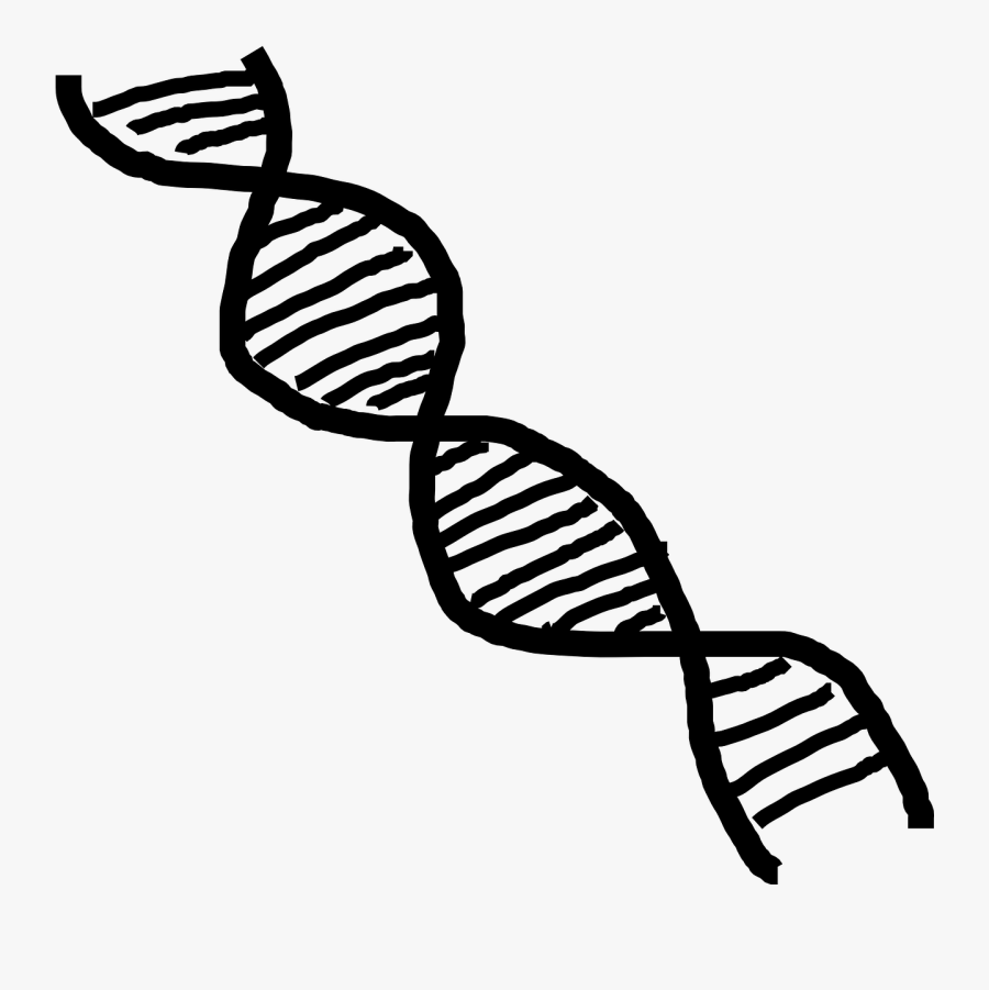 Dna Clip Art At Vector Clip Art Free - Transparent Dna Black And White, Transparent Clipart