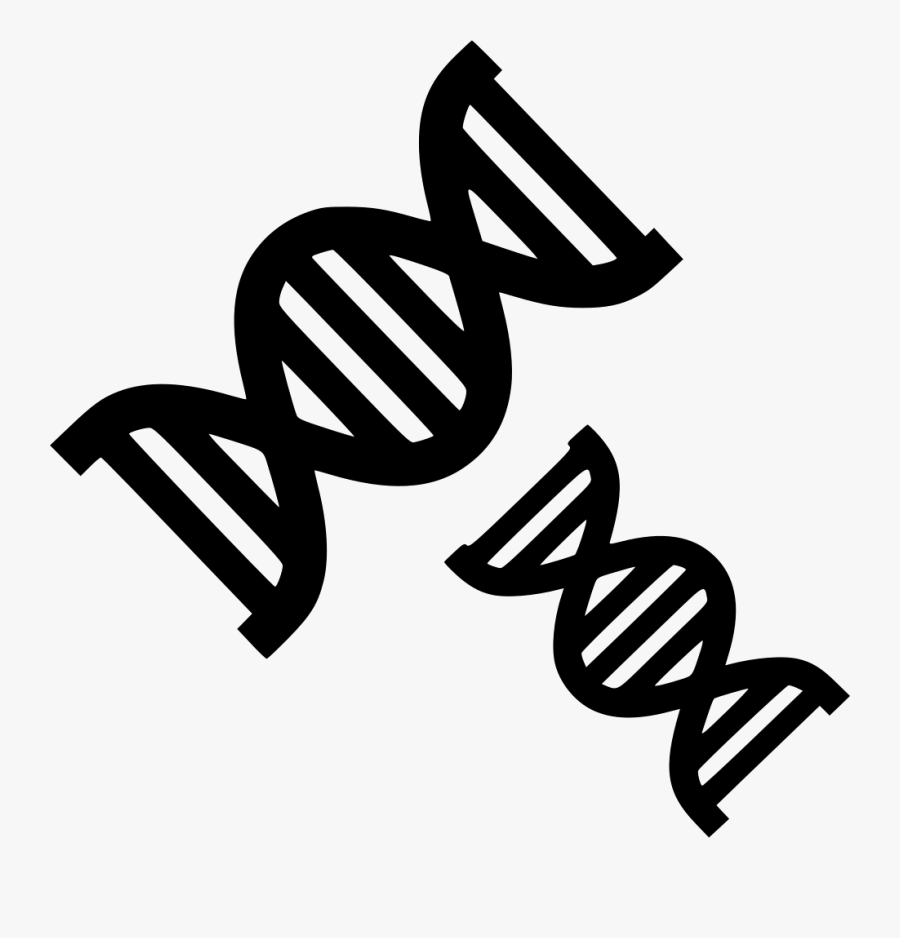 Transparent Dna Clipart Png Silhouette Dna Double Helix Vector Free Transparent Clipart Clipartkey