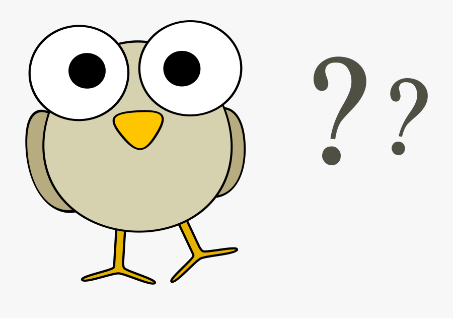 Grey Bird With Question Marks - Owl With Question Mark, Transparent Clipart