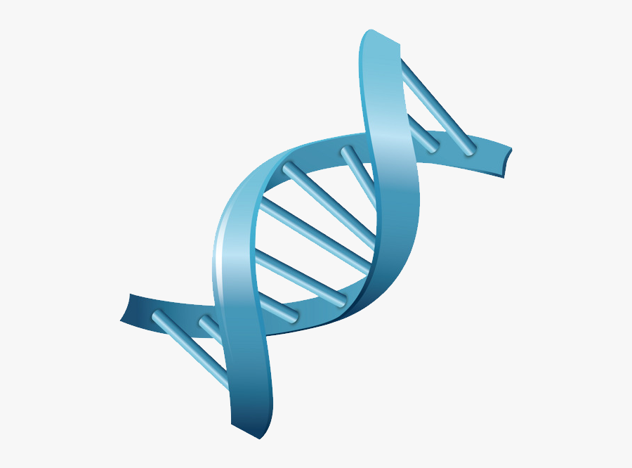 Dna Png - Genetics Png , Free Transparent Clipart - ClipartKey