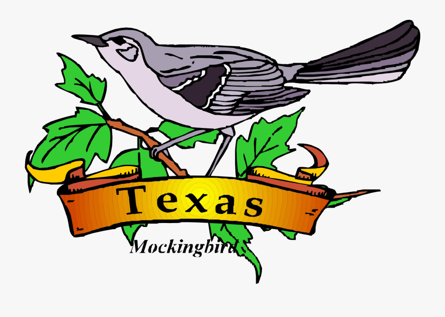 Transparent Mockingbird Clipart - Printable Texas State Bird, Transparent Clipart