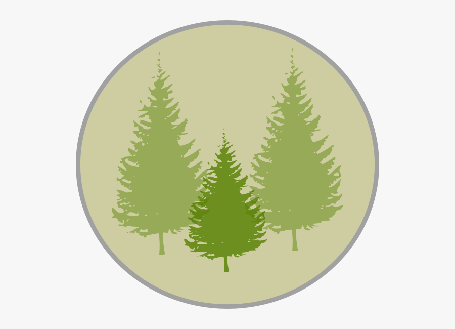 Pine Tree Clipart Free, Transparent Clipart