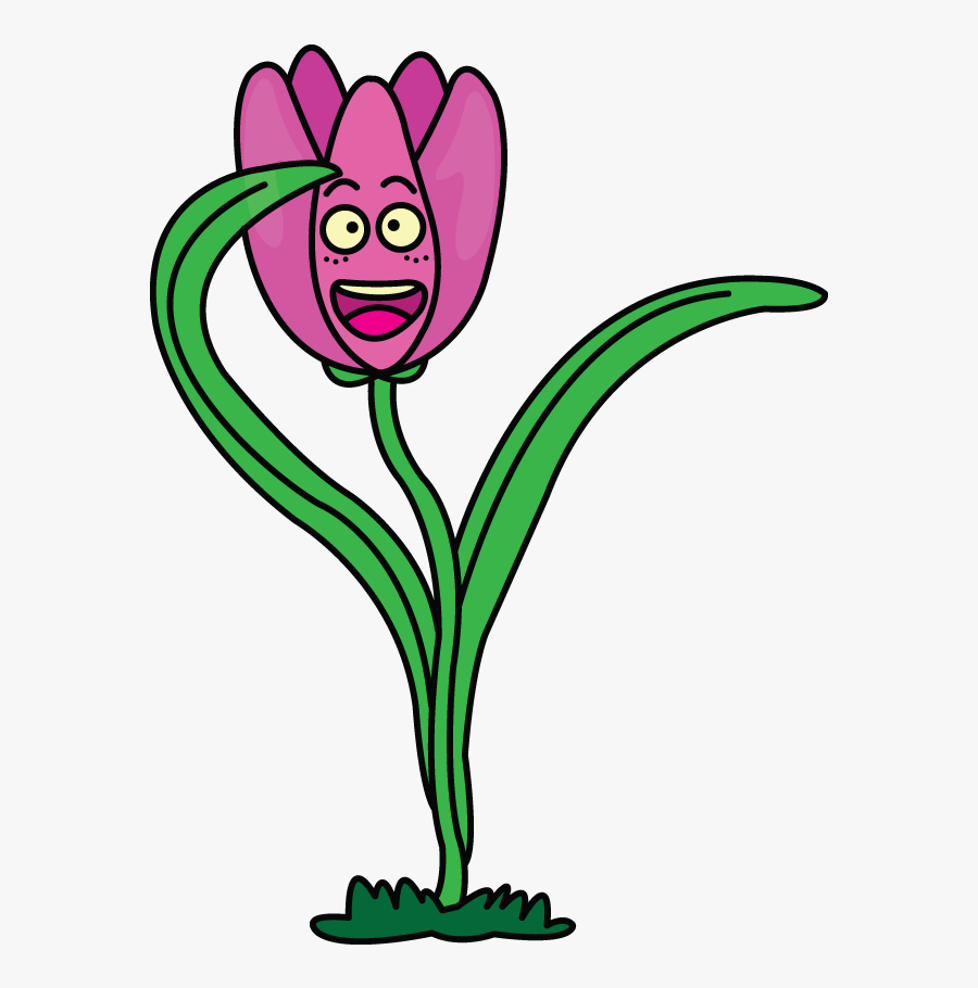 Cartoon Tulip Drawing Tutorial Http - Funny Flowers To Draw, Transparent Clipart