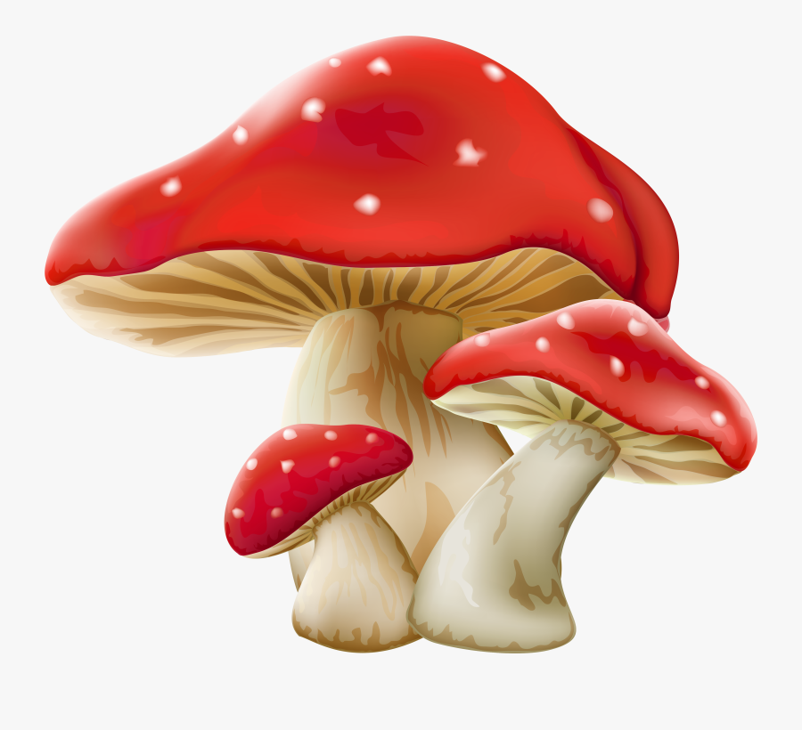 Transparent Mushroom Clip Art - Alice In Wonderland Mushroom Png , Free