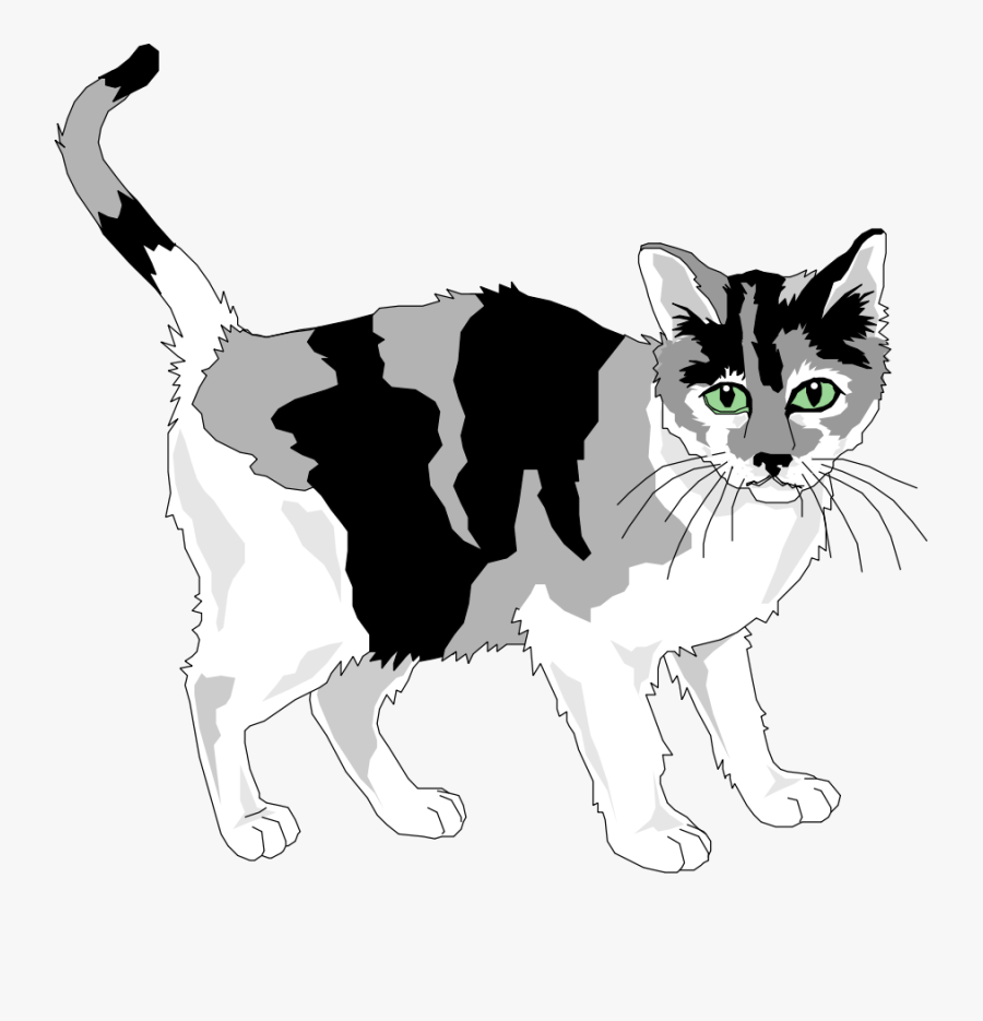 Cat Vector - Black Grey And White Cat Clipart, Transparent Clipart