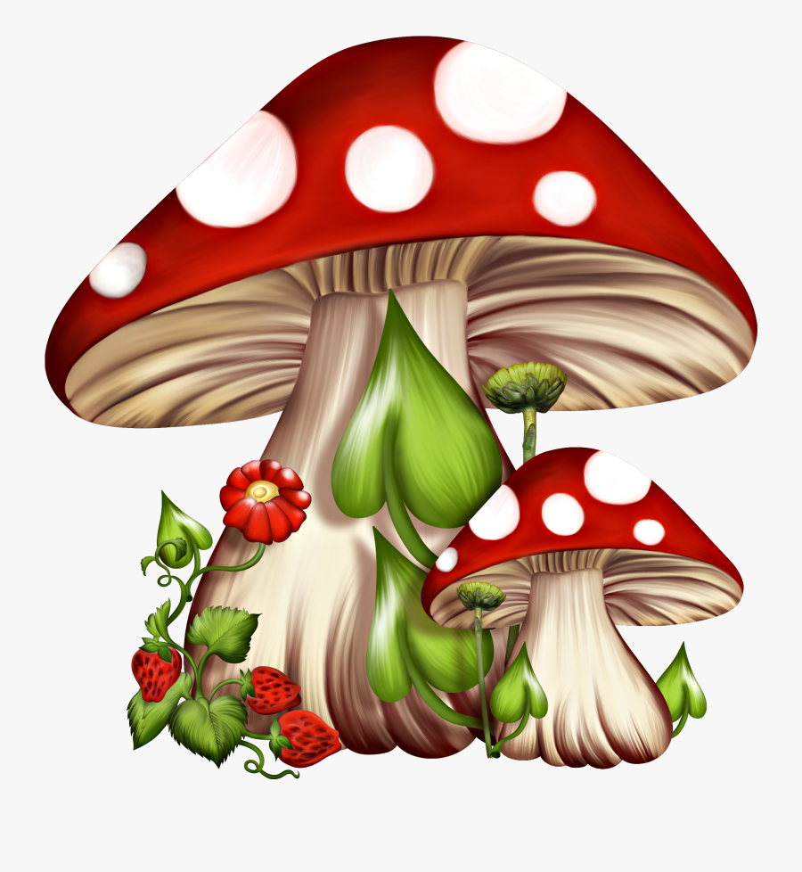 Red And White Mushrooms Clipart , Png Download - Fairy On Mushroom Cartoon, Transparent Clipart