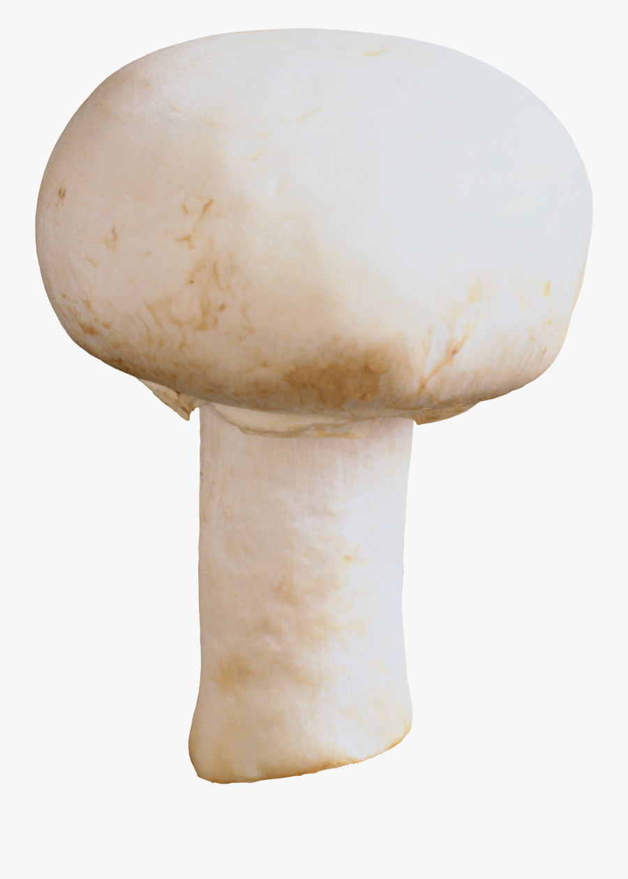 Transparent Mushroom Clip Art - Musgroom Png, Transparent Clipart