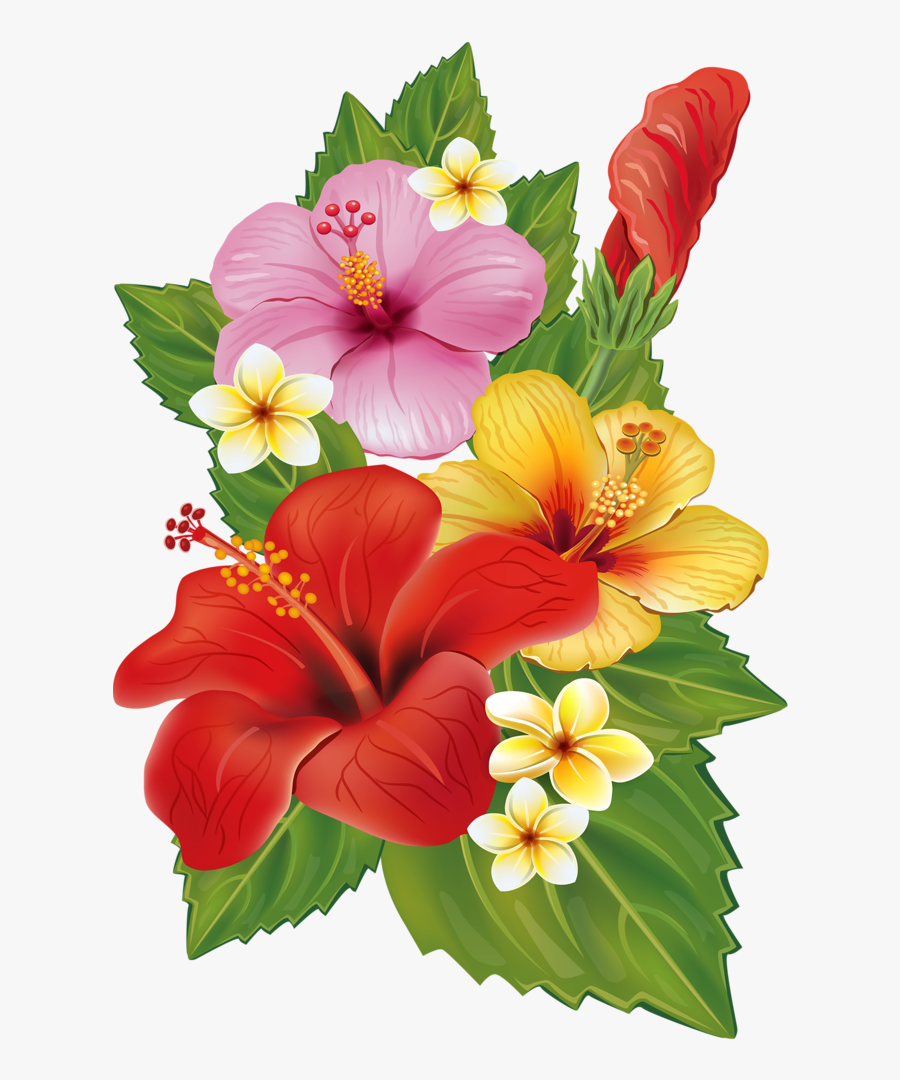 Moana Clipart Flower Crown - Transparent Background Tropical Flowers Clipart, Transparent Clipart