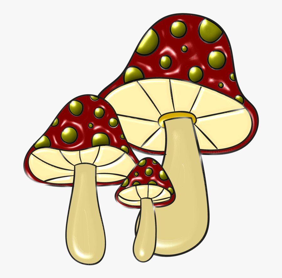 Hongos-09 By Bbvzla Snails, Fairy Houses, Stuffed Mushrooms, - Eomycota Drawing, Transparent Clipart
