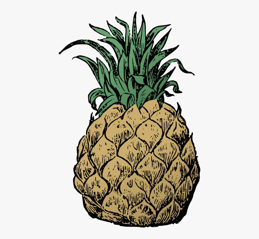 Plant,food,ananas - Pineapple, Transparent Clipart