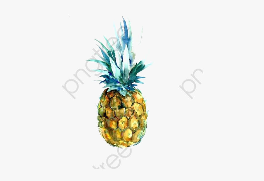 Watercolor Clipart Pineapple - Free Watercolor Pineapple Png, Transparent Clipart